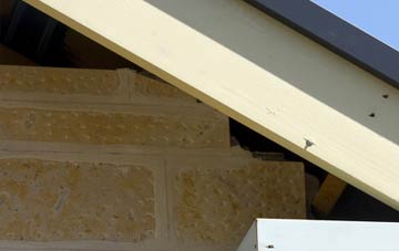 soffit repair Hoyle Mill